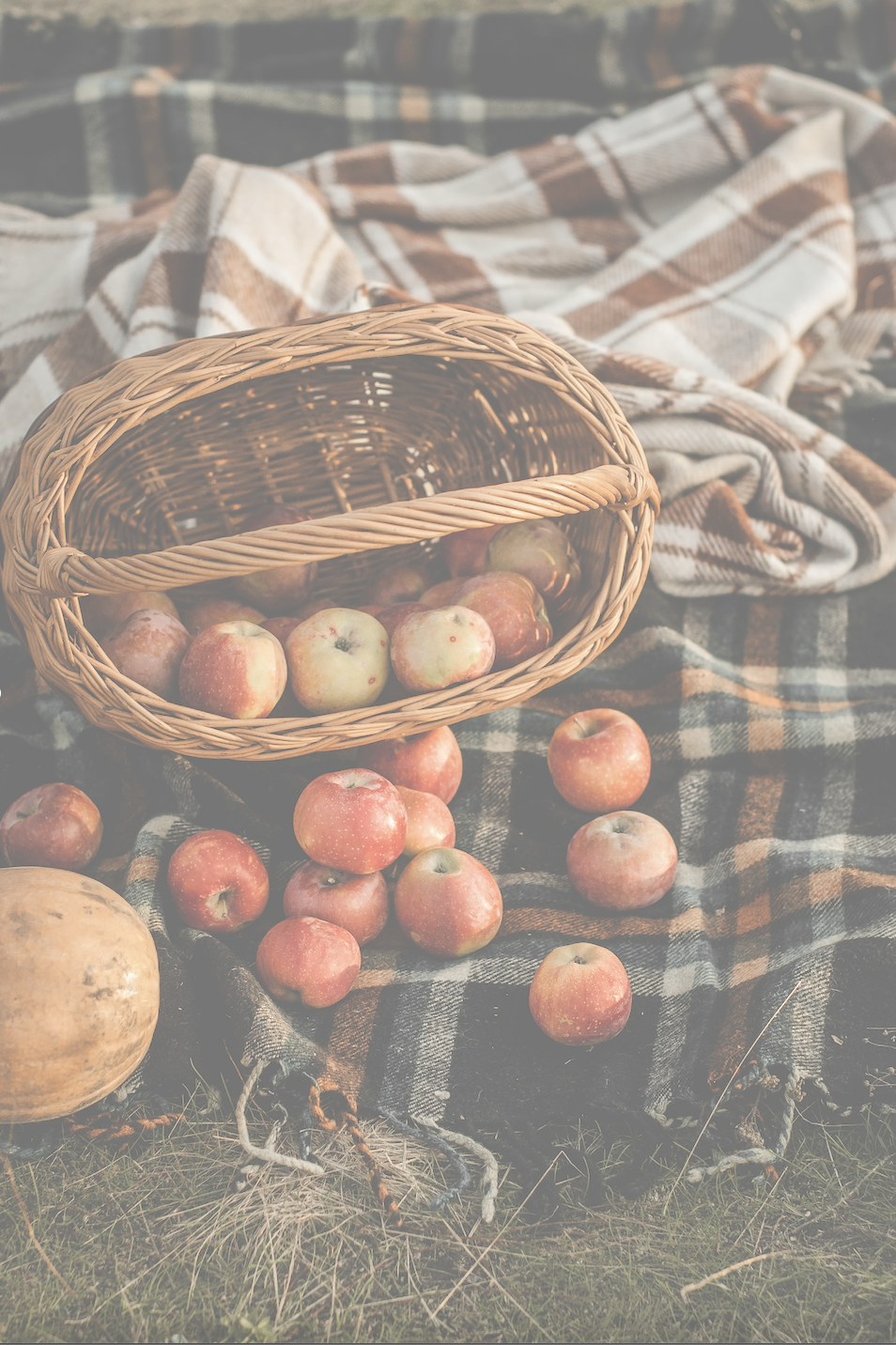 Screenshot 2026-04-27 at 16.09